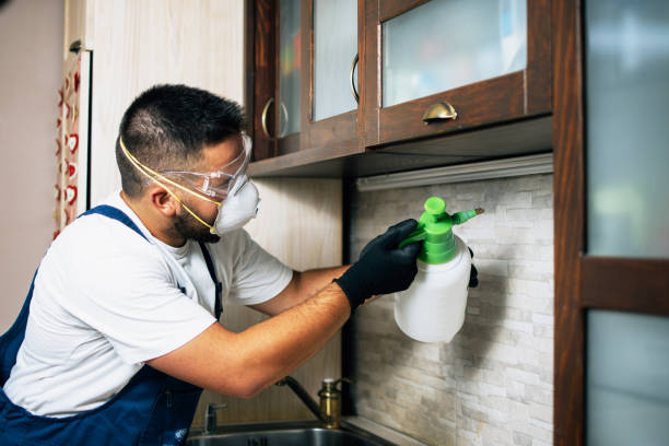 Best Pest Inspection Near Me  in Upper Grand Lagoon, FL