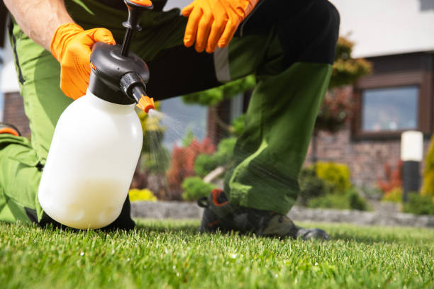 Best Best Pest Control Companies  in Upper Grand Lagoon, FL