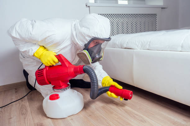  Upper Grand Lagoon, FL Pest Control Pros