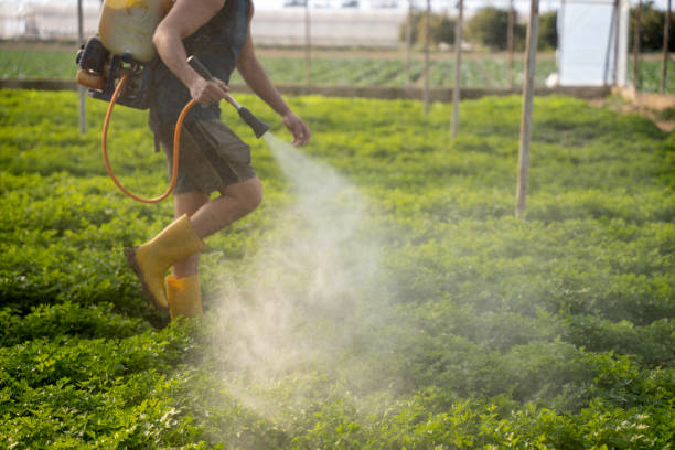 Best Affordable Pest Control Services  in Upper Grand Lagoon, FL