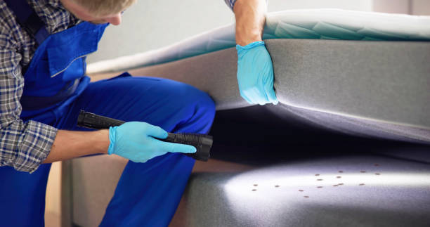 Professional Pest Control in Upper Grand Lagoon, FL