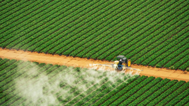 Best Best Pest Control Companies  in Upper Grand Lagoon, FL