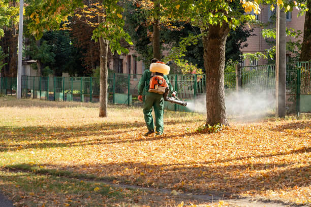 Wasp Removal Services in Upper Grand Lagoon, FL